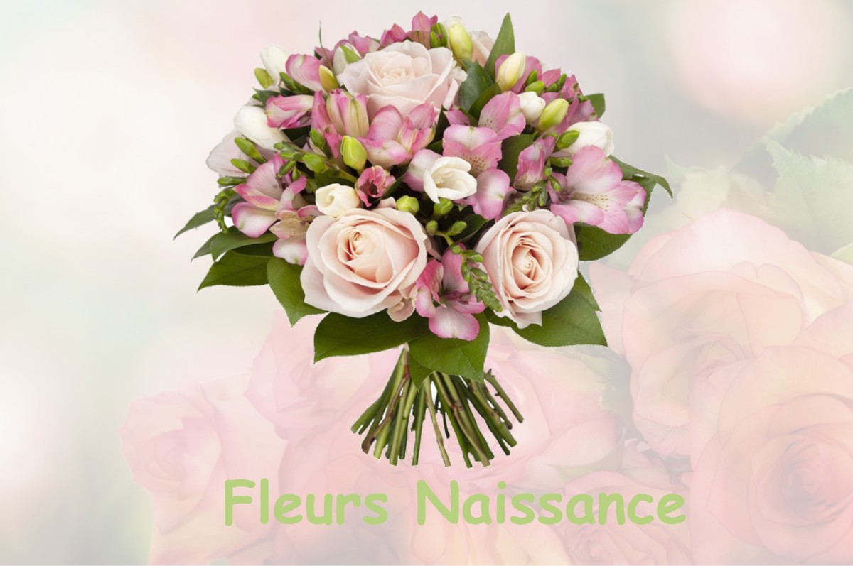 fleurs naissance SAINT-PARRES-AUX-TERTRES